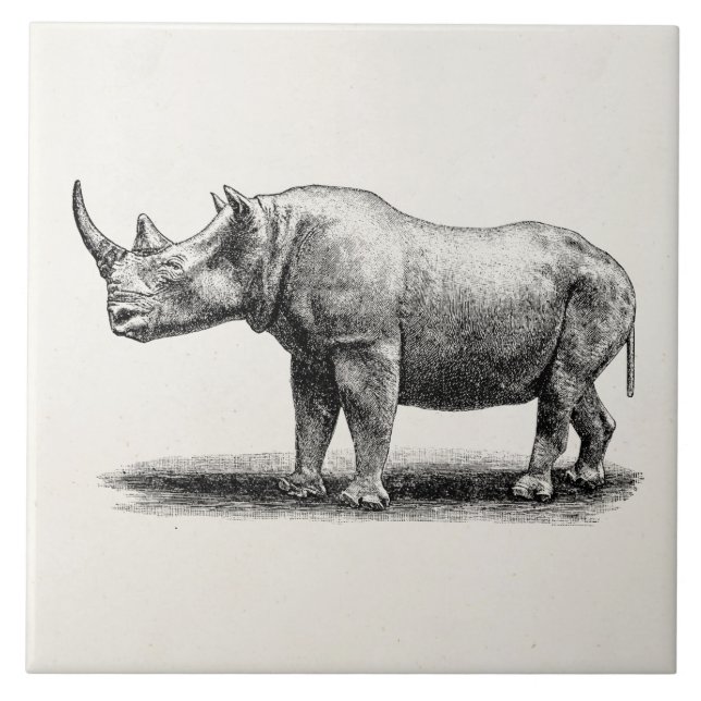 Azulejo De Cerâmica Rhinos do rinoceronte da ilustração do rinoceronte (Frente)