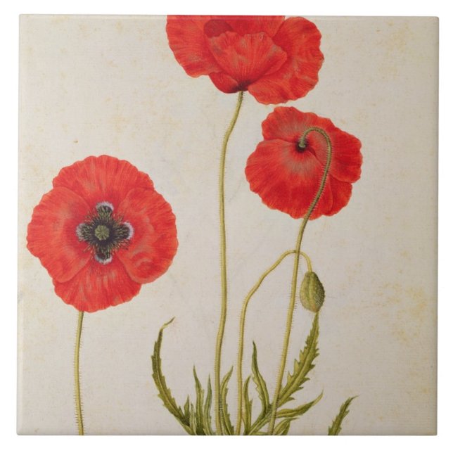 Azulejo De Cerâmica Rhoeas de Papavar, c.1568 (Frente)