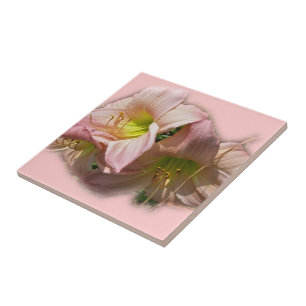 Azulejo De Cerâmica Rico - Dias Rosa