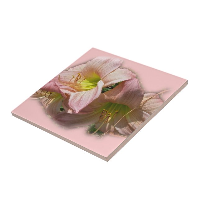 Azulejo De Cerâmica Rico - Dias Rosa (Lateral)