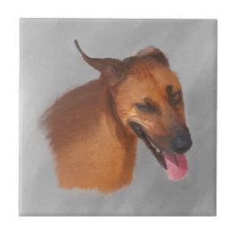 Azulejo De Cerâmica Ridgeback rodesiano