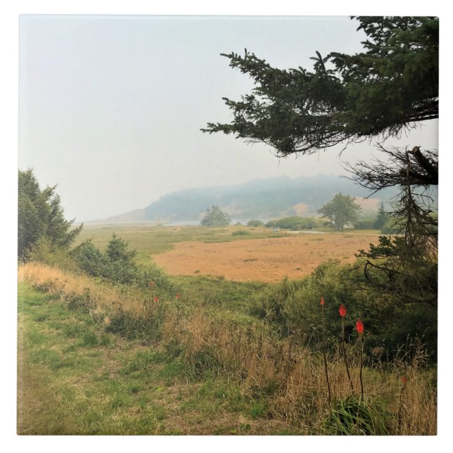 Azulejo De Cerâmica Rio Trail em Cape Blanco, Oregon Costa (Frente)