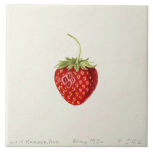 Azulejo De Cerâmica Ripe Red Strawberry (por Louis C. Krieger)