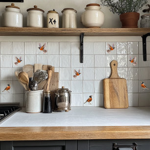 Azulejo De Cerâmica Robin Americano