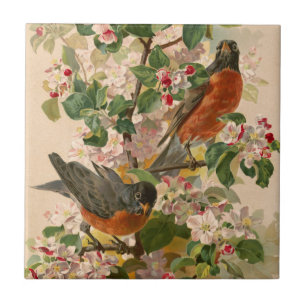 Azulejo De Cerâmica Robins 1896