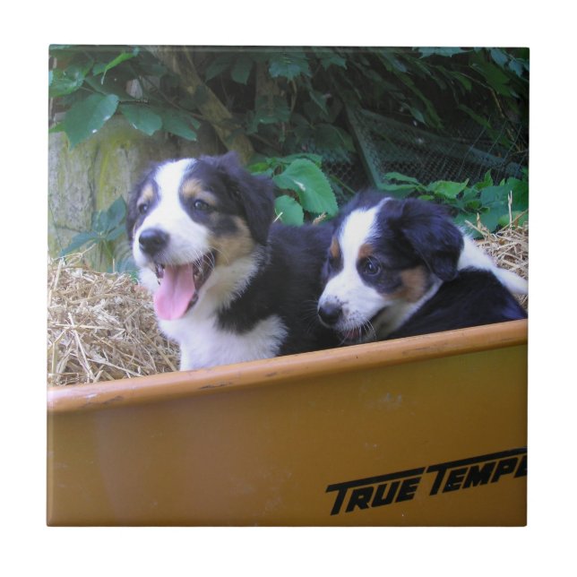 Azulejo De Cerâmica Roda (Frente)