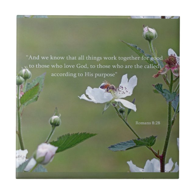 Azulejo De Cerâmica Romanos 8:28 (Frente)