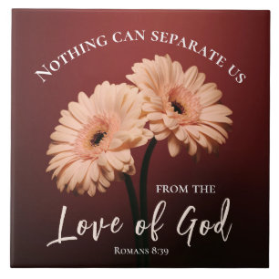 Azulejo De Cerâmica Romanos 8 39 Amor de Deus Bíblia Verso Rosa Brown