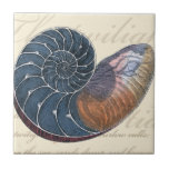 Azulejo De Cerâmica Romantic Seashell<br><div class="desc">Você mora longe da praia? Sem problemas! Pegue esta pintura romântica de concha para que você possa se imaginar sentado em uma praia pacífica em um dia ensolarado quente. Esta arte romanceia o mar e as pequenas ondas que o deixarão ansiando por uma visita à praia. Coloque este painel de...</div>