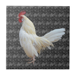 AZULEJO DE CERÂMICA ROOSTER ROCK BRANCO
