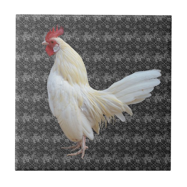 AZULEJO DE CERÂMICA  ROOSTER ROCK BRANCO (Frente)
