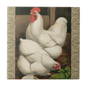 Azulejo De Cerâmica Roosters & Hen fora da Hen House com Borda Branca