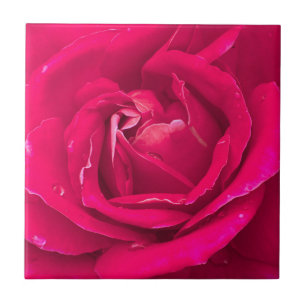 Azulejo De Cerâmica Rosa