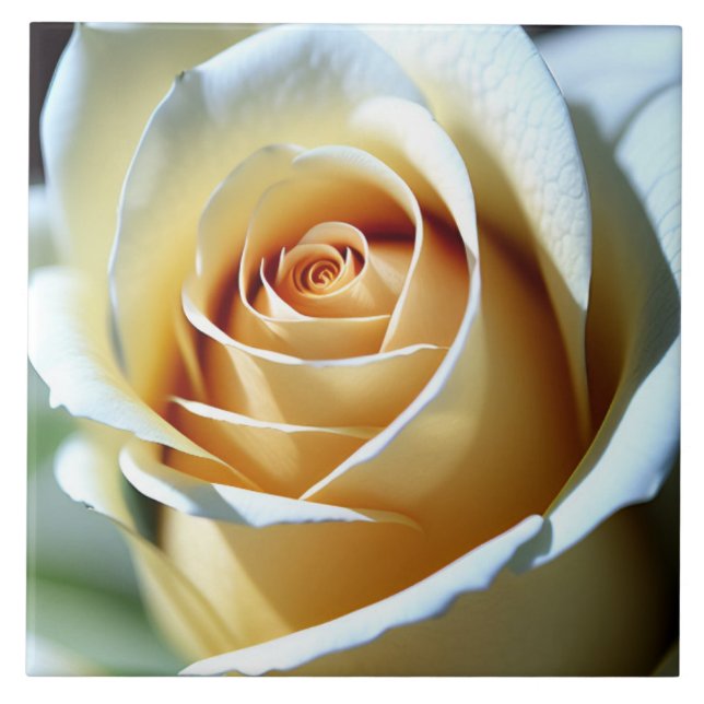 Azulejo De Cerâmica Rosa Branca fresca (Frente)