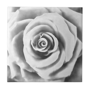 Azulejo De Cerâmica Rosa Branca Grande Artística