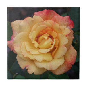 Azulejo De Cerâmica Rosa da Paz Belo Floral, Rosa e Amarelo