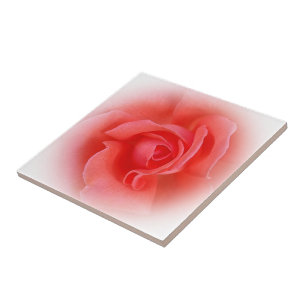 Azulejo De Cerâmica rosa de coral rosa
