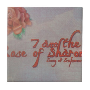 Azulejo De Cerâmica rosa de sharon