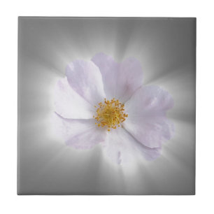 Azulejo De Cerâmica rosa e cinza