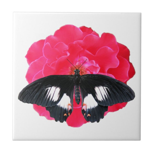 Azulejo De Cerâmica Rosa e Swallowtail (Frente)