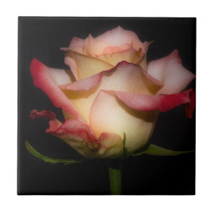 Azulejo De Cerâmica Rosa para sempre