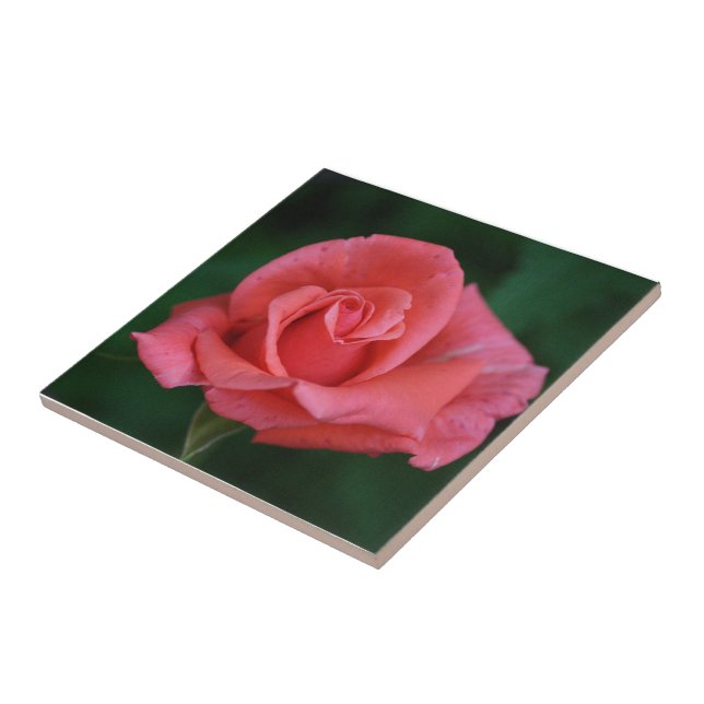 Azulejo De Cerâmica Rosa Rosa (Lateral)