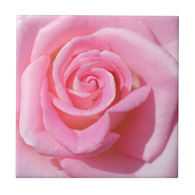 Azulejo de cerâmica rosa rosa (Frente)