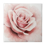 Azulejo De Cerâmica Rosa Rosa Rosa<br><div class="desc">Rosa Rosa Rosa Rosa Rosa I de Grace Popp. Possui um rosa de perto em uma bela paleta muda.</div>