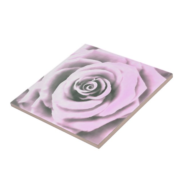 Azulejo De Cerâmica Rosa Rosa Rosa Artista Rosa (Lateral)