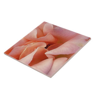 Azulejo De Cerâmica rosa rosa rosa florescente