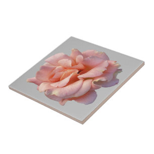 Azulejo De Cerâmica rosa rosa rosa florescente