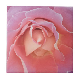 Azulejo De Cerâmica Rosa Rosa Rosa Lusciosa