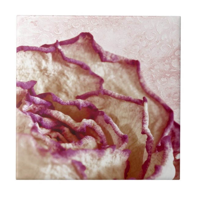 Azulejo De Cerâmica Rosa Rosa Rosa Seca (Frente)