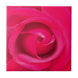 Azulejo De Cerâmica Rosa Rosa Rosa Vermelha Romântica