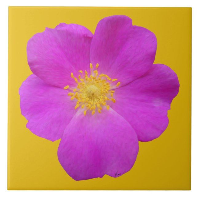 Azulejo De Cerâmica Rosa selvagem 2 (Frente)