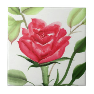 Azulejo De Cerâmica Rosa vermelha
