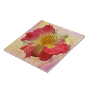 Azulejo De Cerâmica Rosa Vermelha e Branca