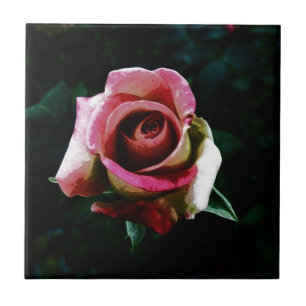 Azulejo De Cerâmica Rosa vermelha pintada a óleo