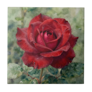 Azulejo De Cerâmica Rosa Vermelha Profunda Romântica em Flor