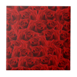 Azulejo De Cerâmica Rosa vermelha romântica