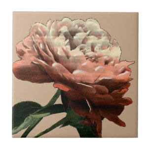 Azulejo De Cerâmica Rosa vermelha Ruby com Destaques Brancos