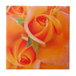 Azulejo De Cerâmica Rosas alaranjados pelo cozinheiro de Alexandra