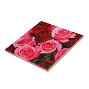 Azulejo De Cerâmica Rosas, Azulejo rosa e cerâmica vermelha