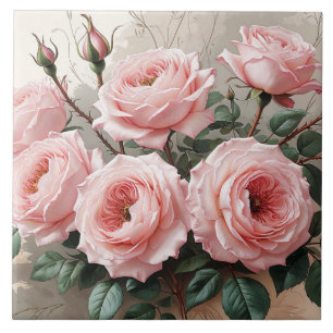 Azulejo De Cerâmica Rosas de Blooming Rosa