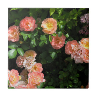 Azulejo De Cerâmica Rosas de inclinação