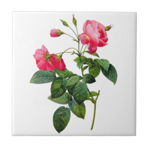 Azulejo De Cerâmica Rosas de Redoute