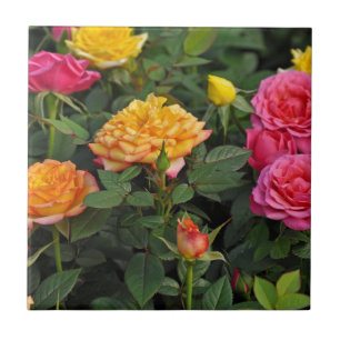 Azulejo De Cerâmica Rosas em miniatura coloridas