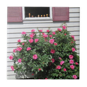 Azulejo De Cerâmica Rosas Flamingo com chave de fenda de madeira