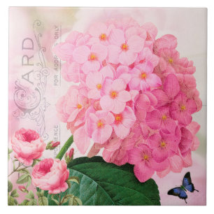 Azulejo de Cerâmica Rosas Hidrangea Rosa Francês R