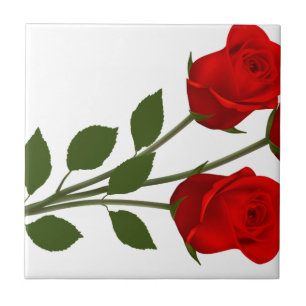 Azulejo De Cerâmica Rosas provindos longos